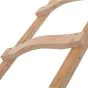 Holz Dachleiter - Sprossenzahl: 18, Länge: 5,05 m