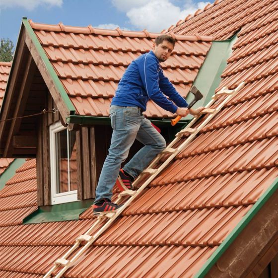 Holz Dachleiter - Sprossenzahl: 14, Länge: 3,95 m